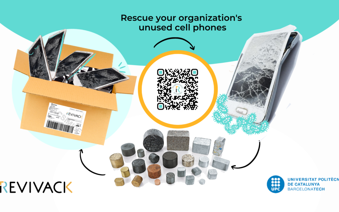 Did you know that there are bacteria capable of recycling cell phones?