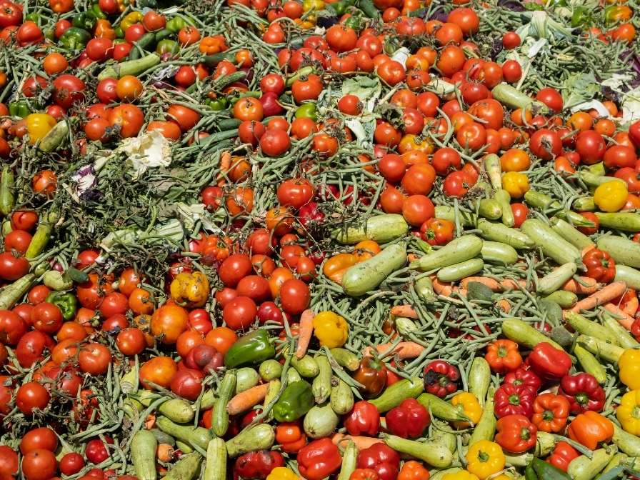 En Europa se desperdician 58 000 millones de kilos de alimentos cada año.